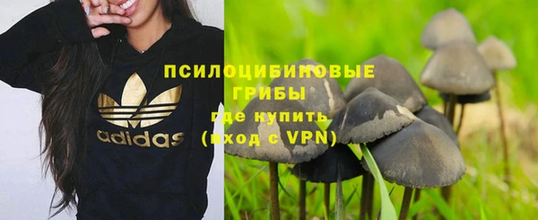 каннабис Каменногорск