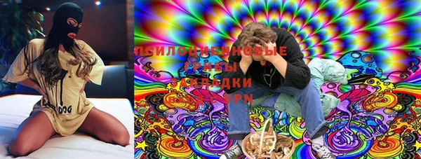героин Каменка