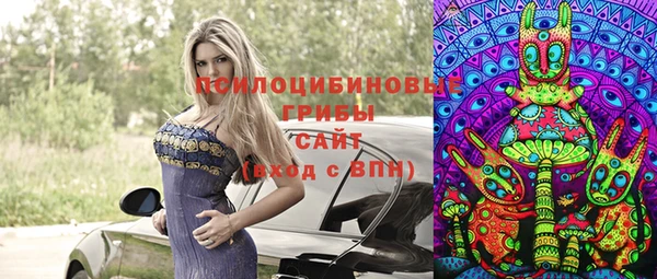 героин Каменка