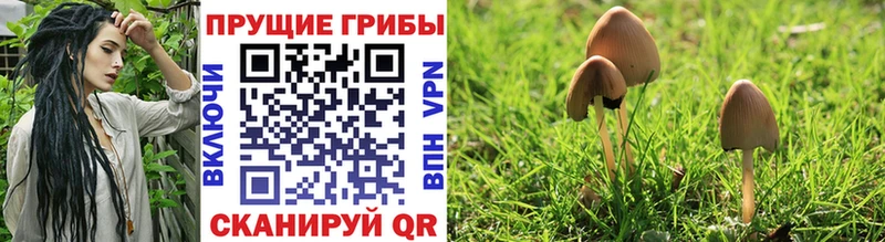 Купить закладки  Калининск  Галлюциногенные грибы мухоморы 