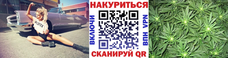 Купить где  Калининск  Канабис OG Kush 